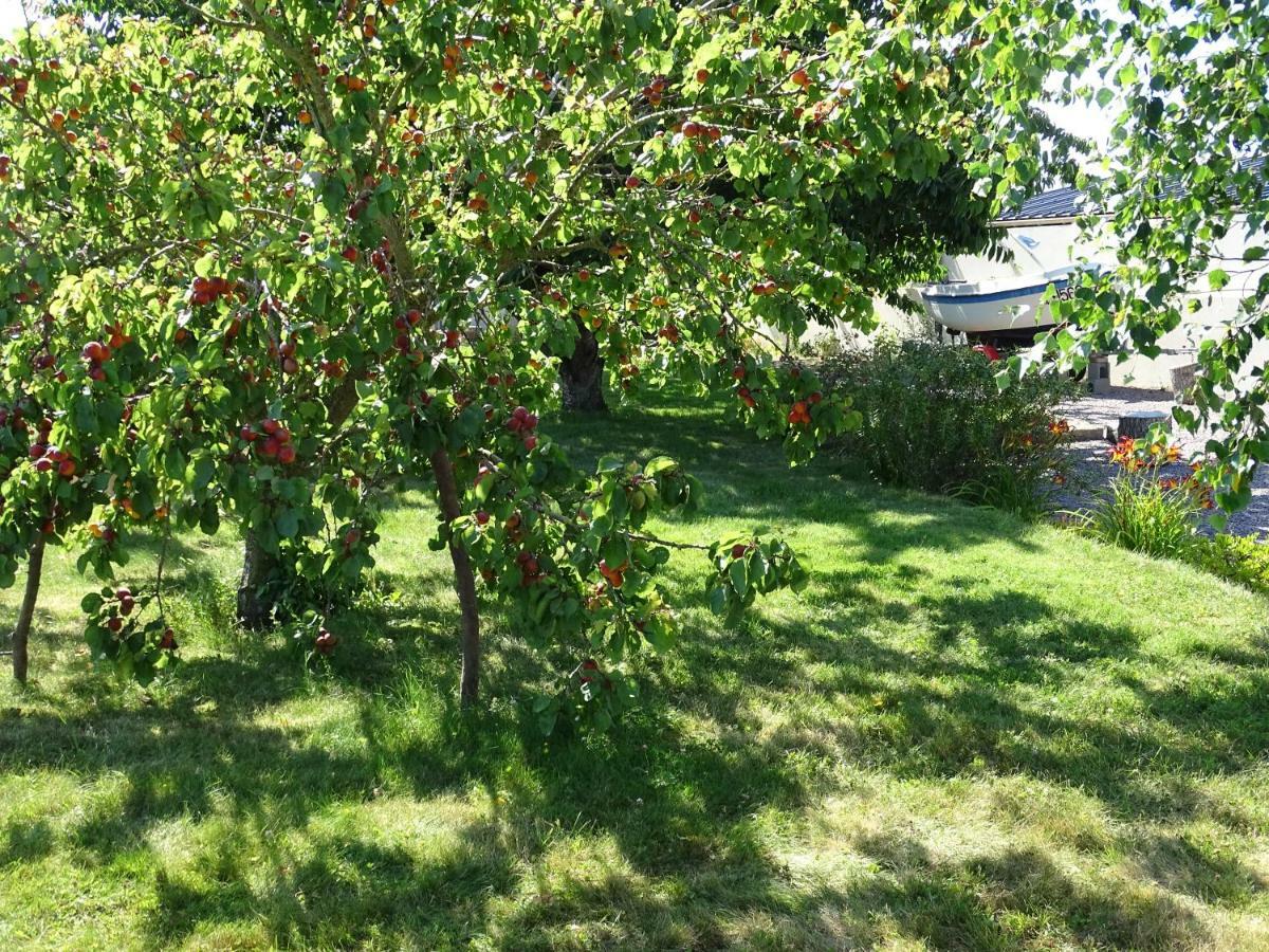 Le Cottage " Village De La Ruee " Location De Vacances Plurien Dış mekan fotoğraf